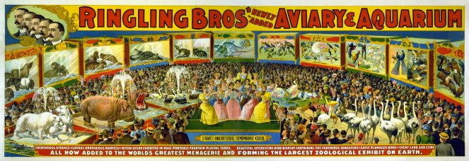 Colourful advertisement for the Ringling Bros' Aviary and Aquarium, 1888 (image from Wikimedia Commons)