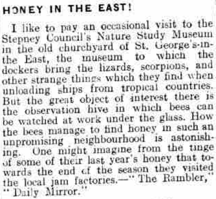 From the Portsmouth Evening News, 8th July 1927, Image © Johnston Press plc. Image created courtesy of THE BRITISH LIBRARY BOARD
