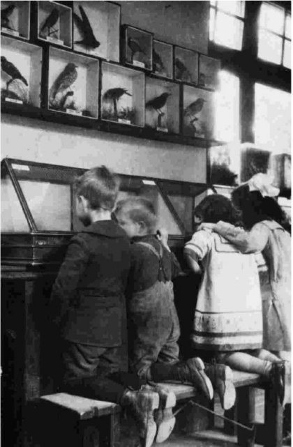 Children viewing specimens at the Nature Study Museum (image from [])