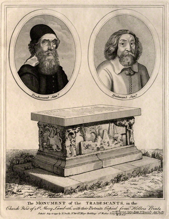 Image showing portraits of John Tradescant the Elder and John Tradescant the Younger, along with their tomb, after Wenceslaus Holler (image from Wikimedia Commons)