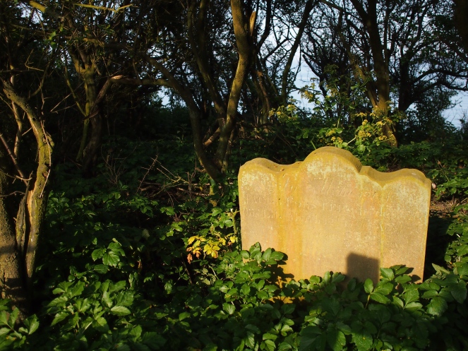 The 'last grave' of old Dunwich